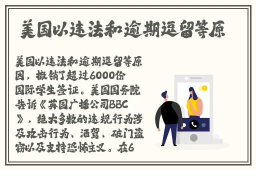 幼儿交13000部网站